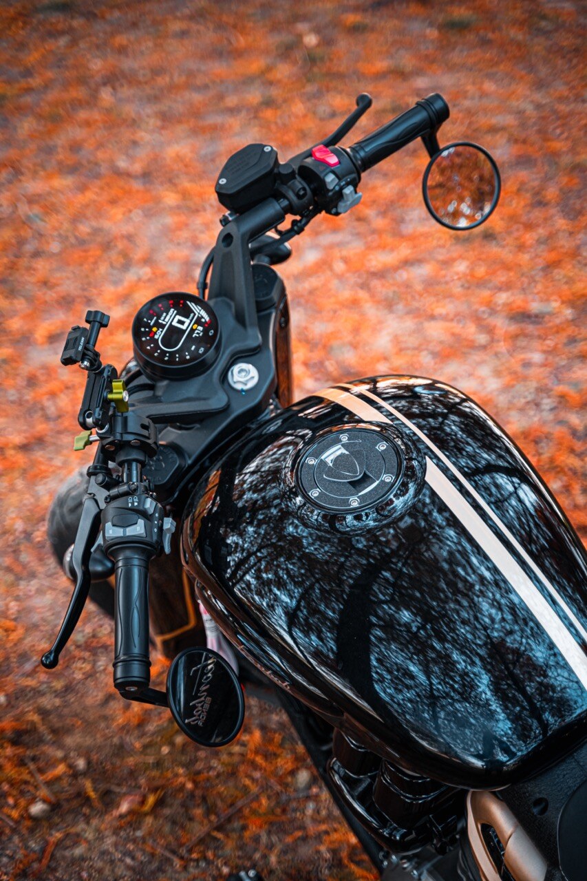 Benda Napoleon 500 Bobber, Phân Phối Chính Hãng, Giá Rẻ Tại Hồ Chí Minh
