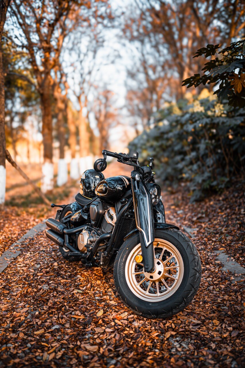 Benda Napoleon 500 Bobber, Phân Phối Chính Hãng, Giá Rẻ Tại Hồ Chí Minh