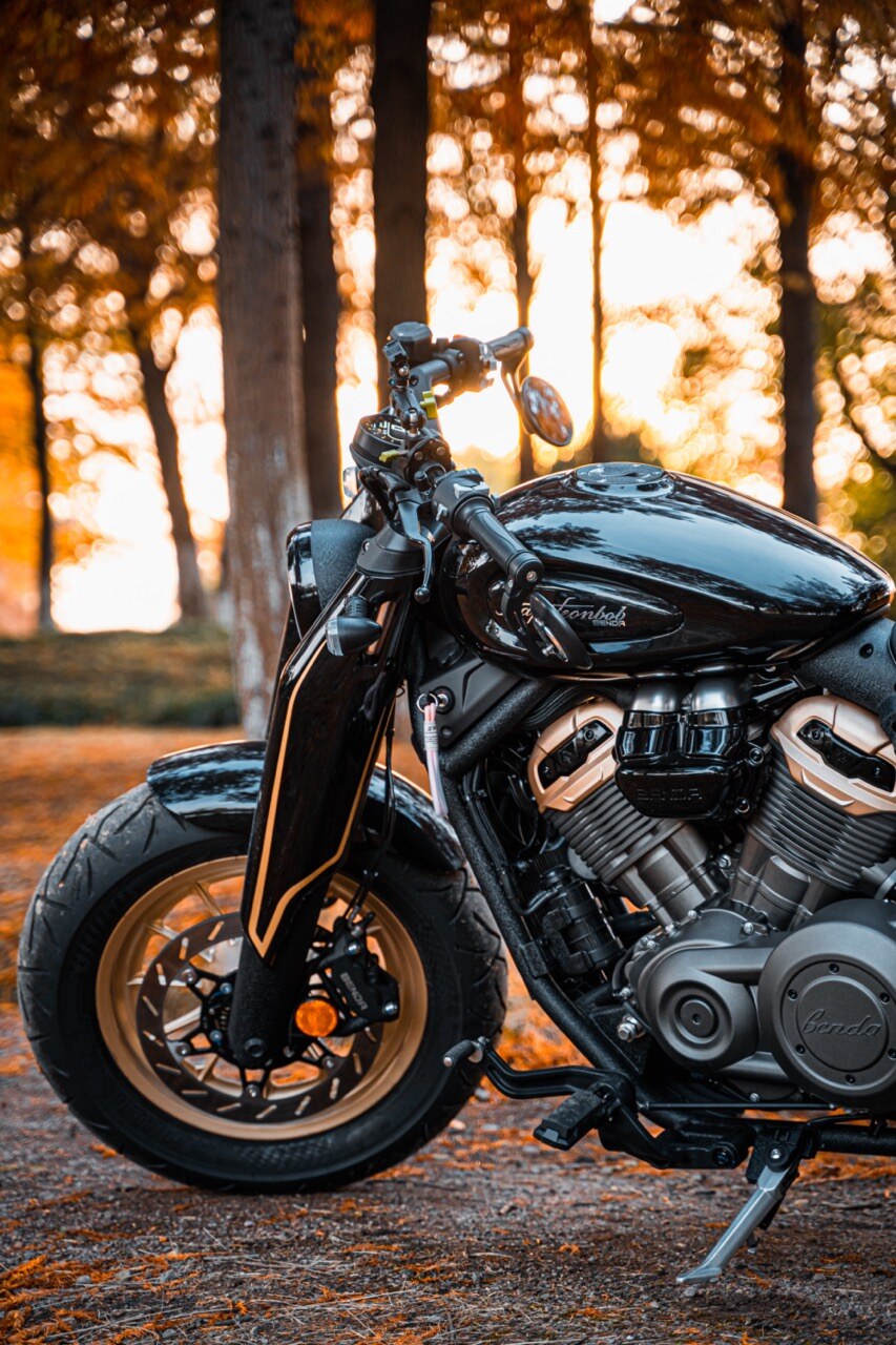 Benda Napoleon 500 Bobber, Phân Phối Chính Hãng, Giá Rẻ Tại Hồ Chí Minh