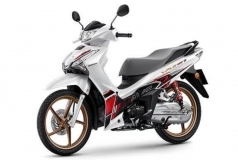 Honda Wave 125 Special Edition 2025 Thái Lan màu trắng thời thượng